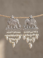 Elephant & Green Floral Jhumka Earring Combo